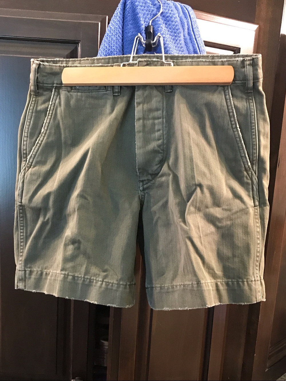 American Eagle Outfitters Olive Green Flat Front Men's Shorts
